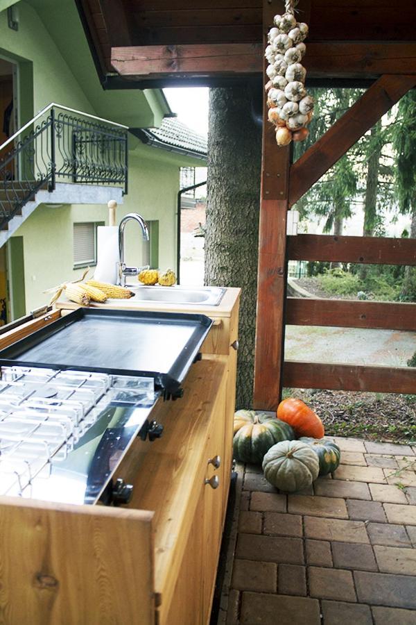 Apartma Pegaz Rogaska Slatina Luaran gambar