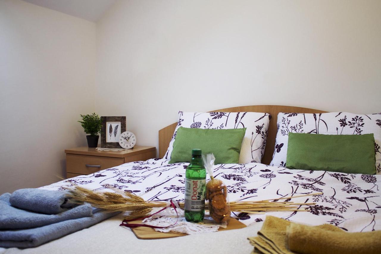 Apartma Pegaz Rogaska Slatina Luaran gambar