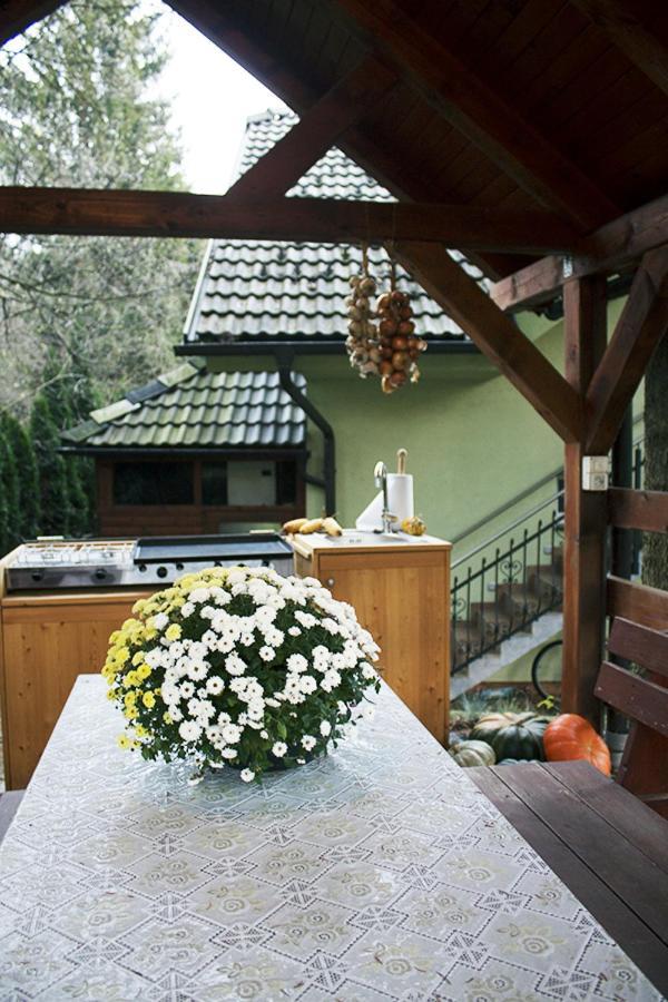 Apartma Pegaz Rogaska Slatina Luaran gambar